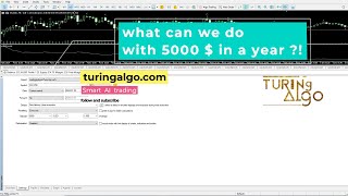 turing algo 5000 fibo [upl. by Ynnot]