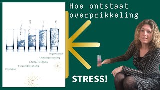 Hoe ontstaat Overprikkeling [upl. by Nylireg]