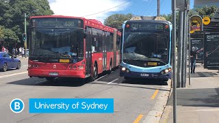 Transport for Sydney Vlog 154 Buses at USYD [upl. by Annohs]