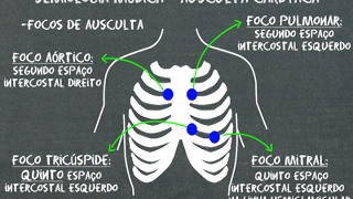 Semiologia médica Ausculta cardíaca [upl. by Malorie846]