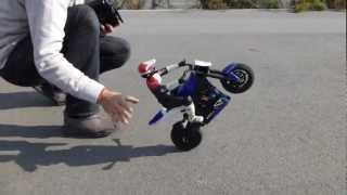 RC Bike Wheelie Device [upl. by Sari142]