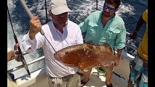 Panama City Beach FL Deep Sea Fishing Grouper Red Snapper King Mackerel Shimano Penn Rod Reel [upl. by Enyrat]