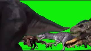 Animal Dinosaur Stampede Green Screen 🐆🐘🦛🦏🦭🦍🦓🐆🐙🐸🐔🐥🐺🐗🪰🕷️🦋🐌🪳🪲🦂🦕🦖🐍🐢 [upl. by Remo]