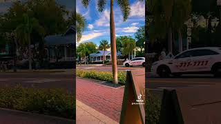 Dunedin Florida 📍🇺🇸 florida dunedin video good day [upl. by Elephus]