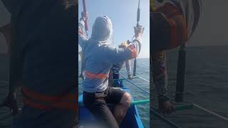 Fish Unlock Amberjack fishing fishingadventure [upl. by Wagstaff]