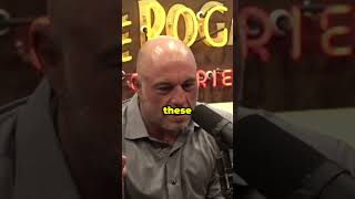 Understanding Autogynephilia Joe Rogan’s Insights on a Controversial Topic shorts [upl. by Bright]