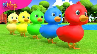 Five Little Ducks Song  Colorful Ducks  BluLoo Nursery Rhymes amp Kids Songs [upl. by Ahsilac]