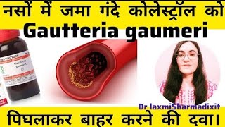 How to Reduce Cholesterol Fast  Homeopathic Medicine Guatteria gaumeri Q  How to use [upl. by Htiek596]