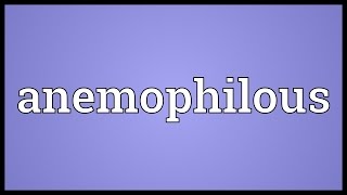 Anemophilous Meaning [upl. by Cannell]