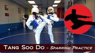 Tang Soo Do  Martial Arts Sparring Practice [upl. by Secnarf]