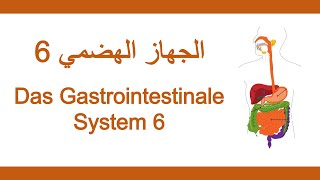 24اللغة الألمانية الطبية  الجهاز الهضمي 6  Medizinische Fachsprache  Gastrointestinales System 6 [upl. by Eillit]