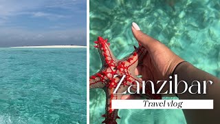 Solo Zanzibar trip  Bitten by sea turtles  Jozani Forest [upl. by Khanna]