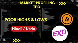 Poor High amp Poor Lows TPO Chart Market profile Explained In Urdu Hindi [upl. by Ellatsyrc]