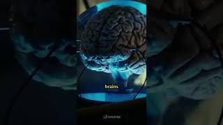 What 200 years does to a brain in a jar [upl. by Thomey619]