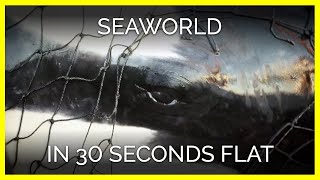 SeaWorld in 30 Seconds Flat [upl. by Enois]