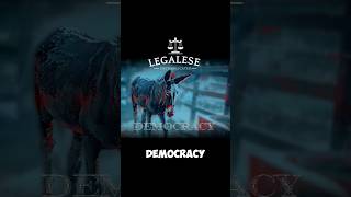 DEMOCRACY LEGALESE DEFINITIONhistory facts legalhistory legalese booktok democracy democrat [upl. by Raleigh]