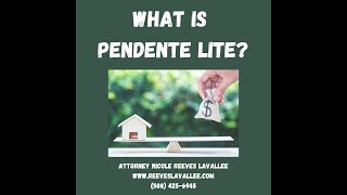 Pendente lite [upl. by Nonie]