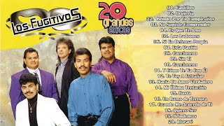 Romanticas Inolvidables Del Ayer 💕Los Fugitivos Mejor Canciones 💕Los Fugitivos Viejitas Pero Bonitas [upl. by Fita]