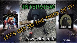 CROW WITH KNIFE CAW  INTERVIEW WITH JOHYO  TEAM MEMBER  GET INSIDE KNOWLEDGE AND CONVERSATIONS [upl. by Anitsrik]