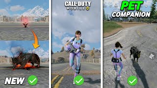 6 New Changes In CODM BATTLEROYALE Season 7 Update  CODMobile [upl. by Kilbride]