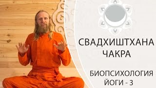 БИОПСИХОЛОГИЯ ЙОГИ3 СВАДХИСТАНА ЧАКРА [upl. by Mayfield]