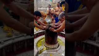 Sananda Manandavane Vasantm  Kashi Vishvnath Shiv Mantra 🔱 kashivishwanathtanvisenjaliyakedarnat [upl. by Lorry562]