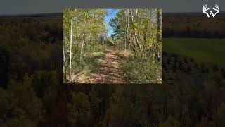 246 Acres Bayfield Co WI [upl. by Franni]