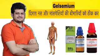 दिमाग़ नस और मांसपेशियों का संतुलन बनाये रखती है ये दवा  gelsemium Homeopathic Medicine [upl. by Bertine]