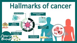 Hallmarks of cancer  What are the defining features of Cancer cells [upl. by Ellesij]