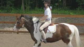 Horse Show Attire for Pony Riders  Jodhpurs and Garters [upl. by Refenej]