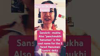 booktube kinnauri polysemy linguistics tibetanlanguage 嘴脸 ft Dr Anju saxena [upl. by Attwood]