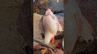 Testy Fish Eggs 😱 Big Carp Fish Cutting Skills With Eggs shorts [upl. by Sirraj]