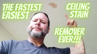 Fastest Easiest Ceiling Stain Removal Technique Ever  No Mess [upl. by Hgielek]