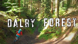 Dalby Forest Mtb  Black world cup route and Red trail [upl. by Ratna]