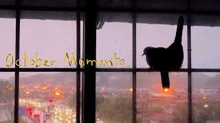 October Moments Vlog [upl. by Charlotta508]