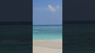 Local islands in Maldives true paradise maldives rasdhoo [upl. by Frangos700]