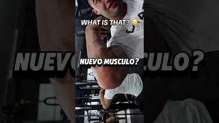 Hernia muscular o lipoma🧐 gimnasio gym shortgym short culturismo gymtips consejosgym [upl. by Stoddard]