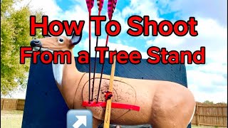 How To Shoot From A Tree Stand Longbow Recurve or Compound [upl. by Yoho698]