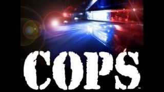 cops tv show full theme song [upl. by Gnap424]