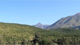 CAMPING IN SWELLENDAM SOUTH AFRICA  Marloth Lodge  Western Cape [upl. by Welles613]