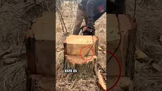 Unbelievable Lumberjack Expertise😳lisoryb24 [upl. by Pet]