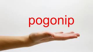 How to Pronounce pogonip  American English [upl. by Aihtibat]