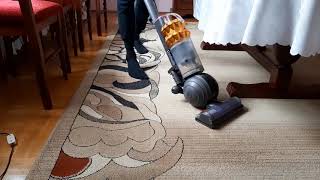 ASMR VACUUMING HOME  ODKURZANIE DOMU  VAC SOUND  DŹWIĘK ODKURZACZA  Dyson DC51 [upl. by Neelyt692]