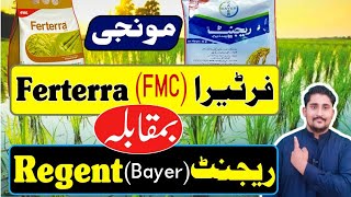 Ferterra Vs Regent  Bayer Regent VS FMC Ferterra  which one is best insecticide for paddy [upl. by Asert]