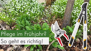 So pflegst du deinen Naturgarten im Frühjahr im Sinne der Tierwelt [upl. by Hose114]