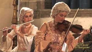 I Musici Veneziani  Barocco amp Opera DCIMAROSA Sinfonia in re maggiore per orchestra [upl. by Aonian]