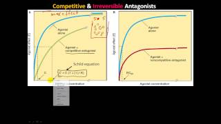 pharm4  ReceptorEffector and Spare Receptors Competitive Irreversible amp chemical Antagonists [upl. by Edahc139]