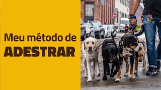 O meu método de ADESTRAR CACHORROS [upl. by Carrie829]