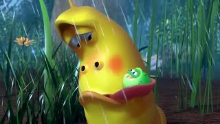 LARVA  Babá  2019 Filme completo  Dos desenhos animados  Cartoons Para Crianças [upl. by Chandal]