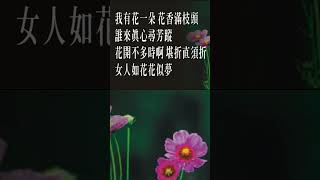 花香滿枝頭（女人花）懷舊歌曲翻唱 [upl. by Didi378]